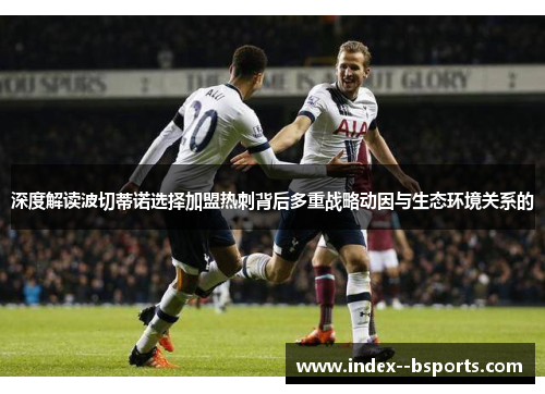 深度解读波切蒂诺选择加盟热刺背后多重战略动因与生态环境关系的