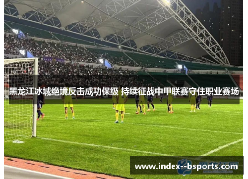 黑龙江冰城绝境反击成功保级 持续征战中甲联赛守住职业赛场