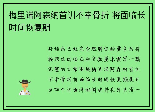 梅里诺阿森纳首训不幸骨折 将面临长时间恢复期