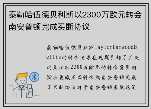 泰勒哈伍德贝利斯以2300万欧元转会南安普顿完成买断协议
