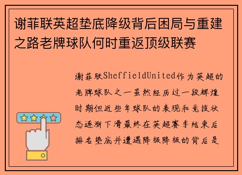 谢菲联英超垫底降级背后困局与重建之路老牌球队何时重返顶级联赛